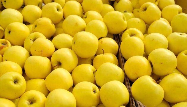 A close-up view of many yellow apples