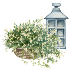 Antique lantern and white flowers bush in a pot. Watercolor hand drawn illustration of vintage iron lamp and foliage, isolated on white background.