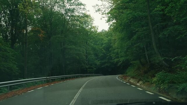 A peaceful road winds through lush greenery, perfect for nature lovers and road trippers to enjoy their journey