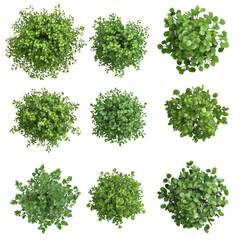 Top view of various decorative green on isolated transparent cutout PNG Background