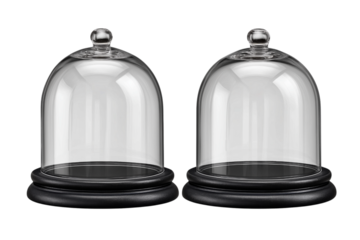 ドーム型のディスプレイケース。もしくはスノーグローブ