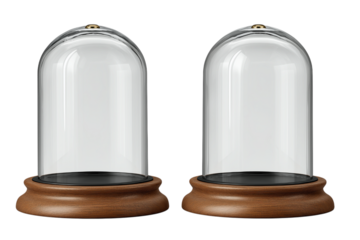 ドーム型のディスプレイケース。もしくはスノーグローブ