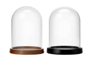 ドーム型のディスプレイケース。もしくはスノーグローブ