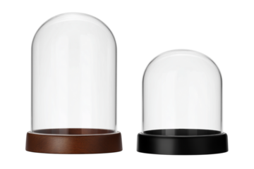 ドーム型のディスプレイケース。もしくはスノーグローブ