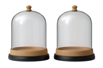 ドーム型のディスプレイケース。もしくはスノーグローブ