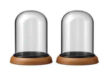 ドーム型のディスプレイケース。もしくはスノーグローブ