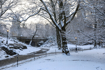 Winter view of Central Park, New York covered in snow during early morning