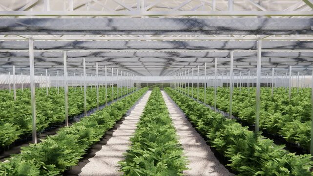 Sustainable, green house and agriculture environment on farm for greenery or plant growth or development. Gardening, agro and eco friendly nursery space for natural harvest rows in countryside.