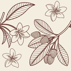 Seamless Line Art Pattern of Frangipani Flowers and Leaves – Tropical Botanical Vector Illustration
