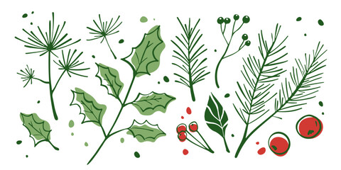Winter botanical elements with green pine needles, holly leaves and red berries - festive branch collection for Christmas decoration. Hand drawn evergreen sprigs, foliage and seasonal plants.