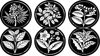 Six botanical illustrations of plants and flowers in black and white circular designs displayed together