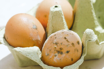 Mold-covered eggs in eco packaging, showing food expiration and spoilage. Contaminated shell...