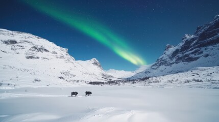 Northern lights radiating colors over a snowy plateau, enhancing visual impact,