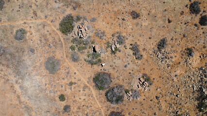 Arid Landscape of Hantam National Botanical Garden, South Africa