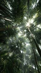 Obraz premium Discovering the Tranquil Beauty of a Tropical Forest Canopy to Promote Deep Relaxation