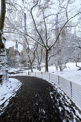 Winter view of Central Park, New York covered in snow during early morning