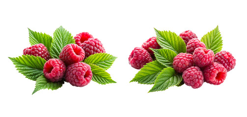 raspberries on a white background