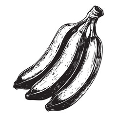 vector silhouette illustration of a banana