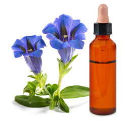Gentian with  essence bottle