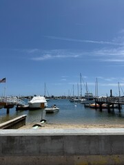 boats in marina