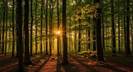 Serene forest landscape at sunrise with golden light filtering through tall trees and lush greenery