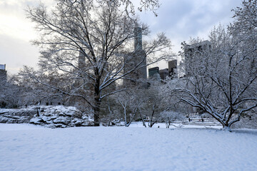 Winter view of Central Park, New York covered in snow during early morning
