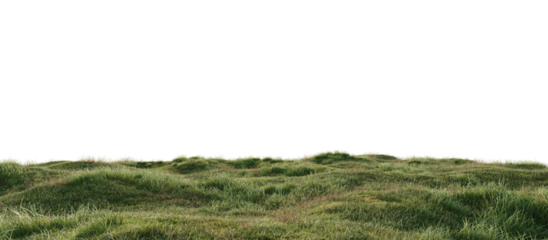 Hills with grass on a transparent background. 3D rendering.