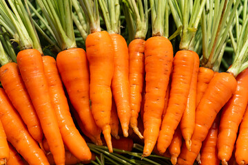 Carrots display for sell