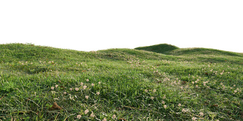 Hills with grass Under Clear Sky. 3D rendering.