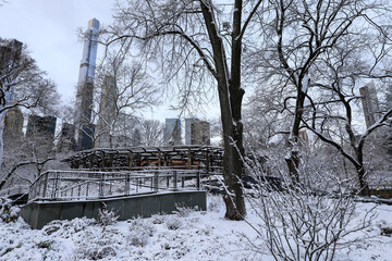 Winter view of Central Park, New York covered in snow during early morning