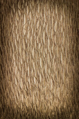 wooden background, board surface, natural brown wood pattern, Lacewood, african, vignetting, frame with a place for text or object, vertical