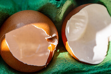 Eggshells in the cells of a green egg carton. Close-up.