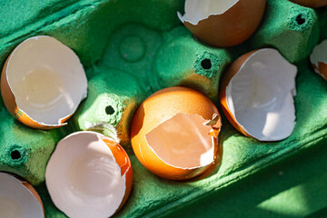 Eggshells in the cells of a green egg carton. Close-up.