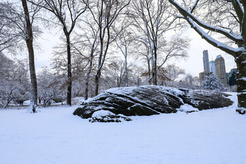 Winter view of Central Park, New York covered in snow during early morning
