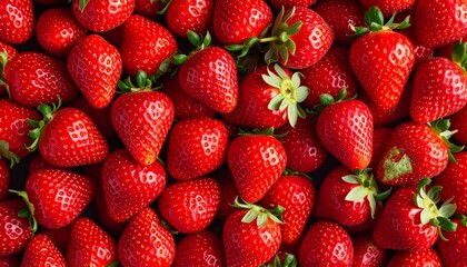A vibrant, close-up overhead view of a bountiful pile of fresh, ripe red strawberries, showcasing their textured surfaces and green leafy tops.