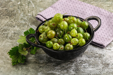 Ripe sweeet and juicy gooseberry