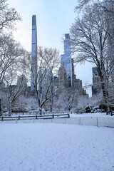 Winter view of Central Park, New York covered in snow during early morning