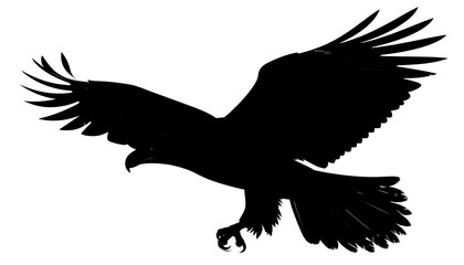 Obraz premium Silhouette of a soaring eagle (1)