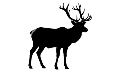 Silhouette of a standing elk