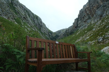 Scenic Landscape of Harold Porter National Botanical Garden, South Africa