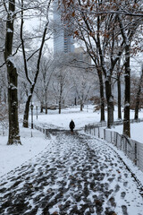 Scenic view of snow covered landscape of Central Park, New York in winter morning