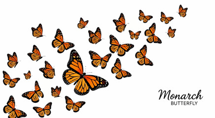 Fototapeta premium A beautiful illustration of a swarm of Monarch butterflies in flight against a white background. This nature-themed graphic is perfect for educational materials, environmental websites