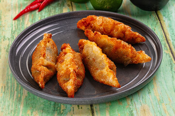 Asian fried stuffed dumplings gyoza