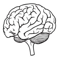 human brain silhouette