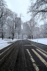 Scenic view of snow covered landscape of Central Park, New York in winter morning