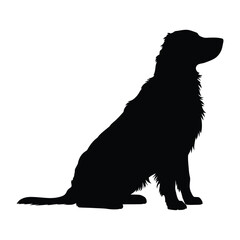 Obraz premium Silhouette of a golden retriever dog sitting patiently
