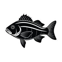 Obraz premium Tropical fish vector illustration on white, great for nature and aquarium designs