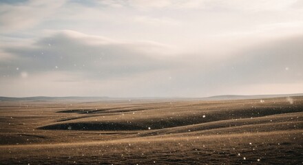 Vast, rolling grassland landscape under a cloudy sky, with subtle light effects.