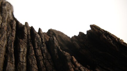 Close-up of cracked wood ridges under studio light on white backdrop