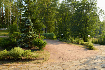 A Peaceful Pathway Meanders Through Lush Greenery Surrounded by Nature in a Beautiful Park